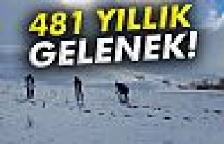 481 yıllık gelenek!