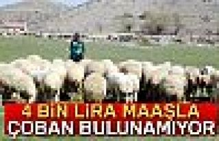 4 BİN LİRA MAAŞ!