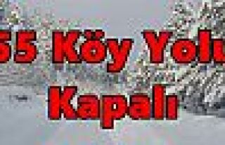 55 Köy Yolu Kapalı