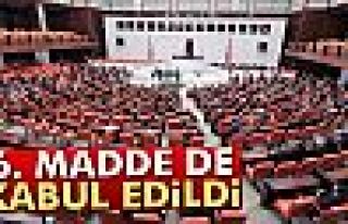 6. madde de kabul edildi