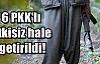 6 PKK'lı etkisiz hale getirildi!