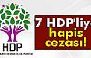 7 HDP'liye hapis cezası!