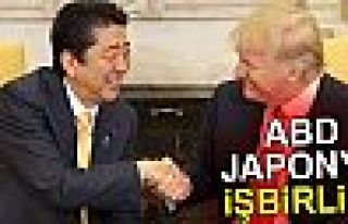 ABD VE JAPONYA İŞBİRLİĞİ!