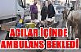 Acılar içinde ambulans bekledi