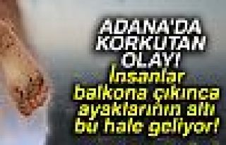 ADANA'DA İNANILMZ OLAY!