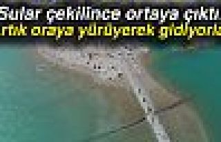 Adaya yürüyerek gittiler!