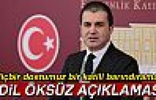 Adil Öksüz açıklaması