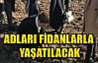 ADLARI FİDANLARLA YAŞATILACAK