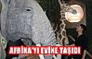 Afrikayı Evine Taşıdı