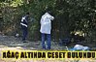 Ağaç altında ceset bulundu