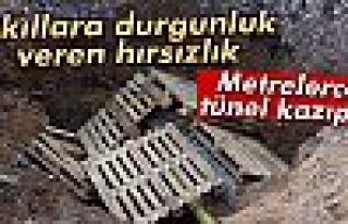 Akıllara durgunluk veren hırsızlık