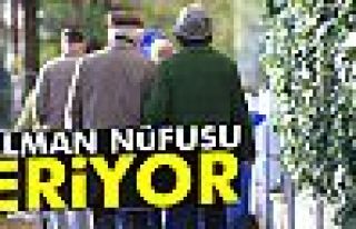 Alman nüfusu eriyor