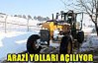 Arazi yolları açılıyor