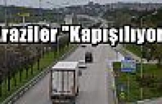 Araziler 