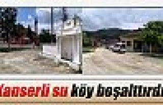 Arsenikli su köy boşalttırdı