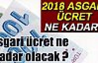 Asgari ücret ne kadar olacak ? 