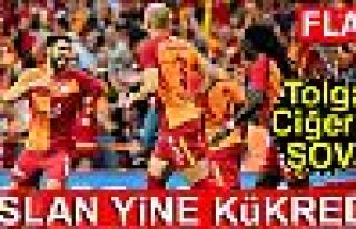 ASLAN YİNE KÜKREDİ!