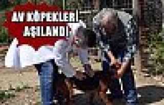 Av Köpekleri Aşılandı