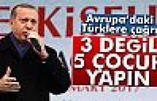 Avrupa'da ki Türklere Çağrı yaptı!