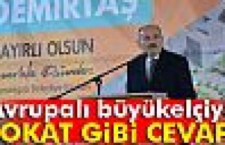 Avrupalı büyükelçiye tokat gibi cevap