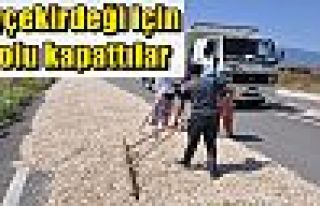 Ayçekirdeği için yolu kapattılar