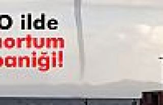 Aydın’da hortum paniği!