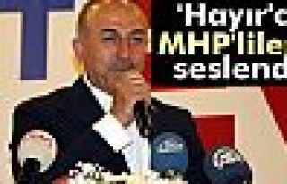 Bakan Çavuşoğlu 'Hayır'cı MHP'lilere Seslendi