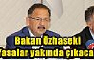 Bakan Özhaseki: 'Yasalar yakında çıkacak'