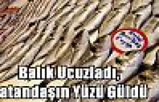 Balık Ucuzladı,Vatandaşın Yüzü Güldü