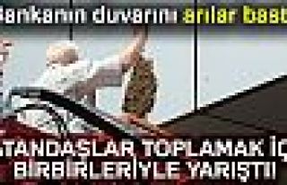 Bankanın duvarını arılar bastı