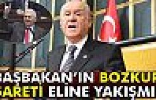 Başbakan'ın Eline Bozkurt İşareti Yakışmış!