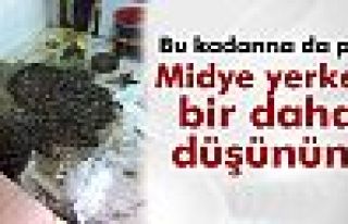 Beyoğlu'nda midye operasyonu