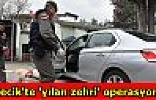 Bilecik'te 'yılan zehri' operasyonu