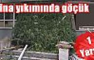 Bina yıkımında göçük: 1 yaralı