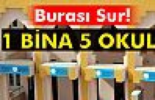 Bir binada 5 okul