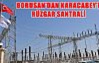 Borusan'dan Karacabey'e rüzgar santrali