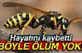 BÖYLE ÖLÜM YOK!