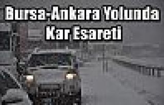 Bursa-Ankara Yolunda Kar Esareti