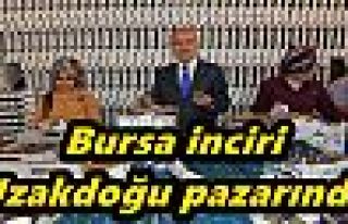 Bursa inciri Uzakdoğu pazarında