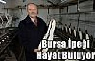 Bursa İpeği Hayat Buluyor