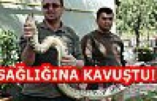 BURSA'DA SAĞLIĞINA KAVUŞTU!