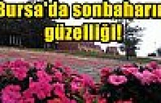 Bursa'da sonbaharın güzelliği!