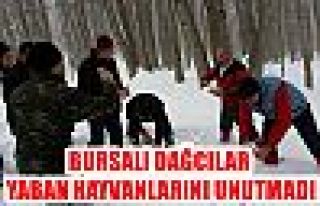 Bursalı dağcılar yaban hayvanlarını unutmadı