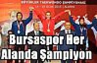 Bursaspor Her Alanda Şampiyon