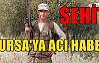 Bursa'ya Şehit haberi geldi