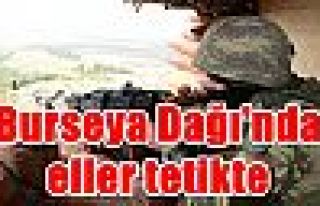 Burseya Dağı'nda eller tetikte