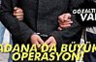 Büyük Operasyon!