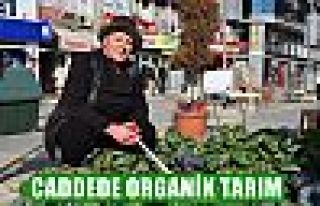 Caddede organik tarım