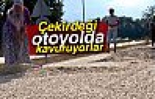 ÇEKİRDEĞİ YOLDA KURUTUYORLAR!