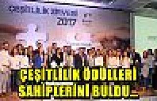 ÇEŞİTLİLİK ÖDÜLLERİ SAHİPLERİNİ BULDU…